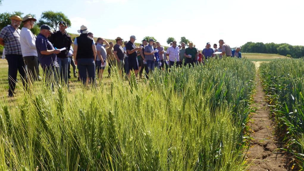 Besucher eines Feldtages in Heßberg