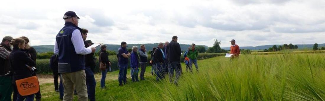 Bild einer Gruppe Landwirte auf einem Versuchsfeld mit Wintergerste