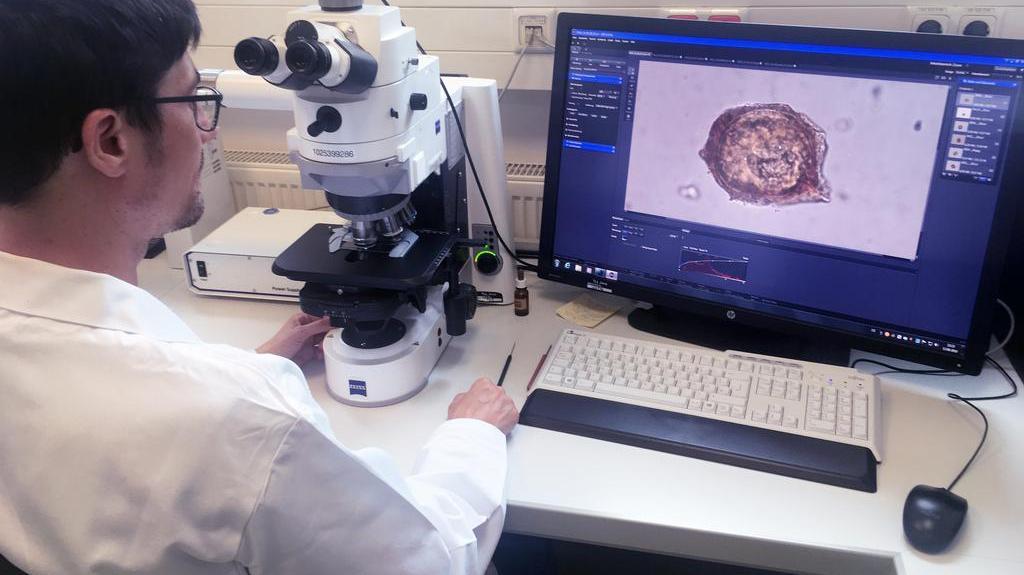 Phytopathologie
