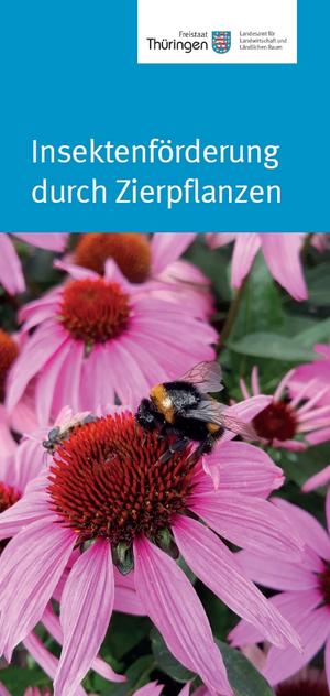 Titelseite des Flyers Insektenförderung durch Zierpflanzen