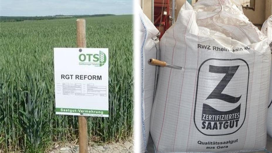 Hinweis Schild am Versuchsfeld und verpacktes Saatgut