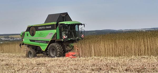 Hanfernte in der Pahrener Agrar Verwaltungs- und Vermarktungs GmbH mit der Technik der Firma Krumm