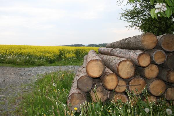 Holzstapel