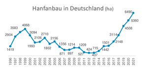 Hanfanbau in Deutschland