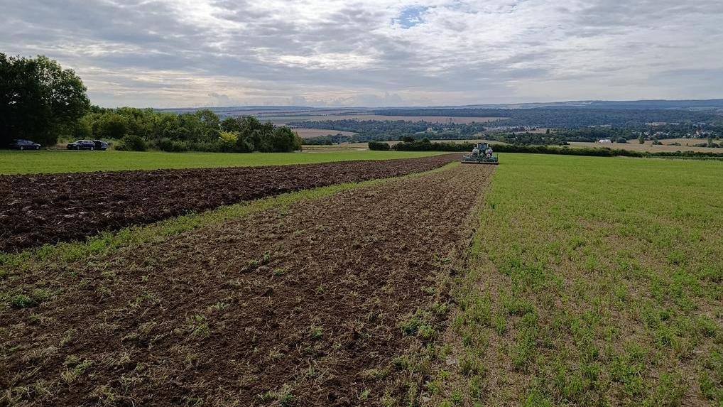 Landwirte begutachten die Bodenbearbeitung auf einem Luzerneschlag