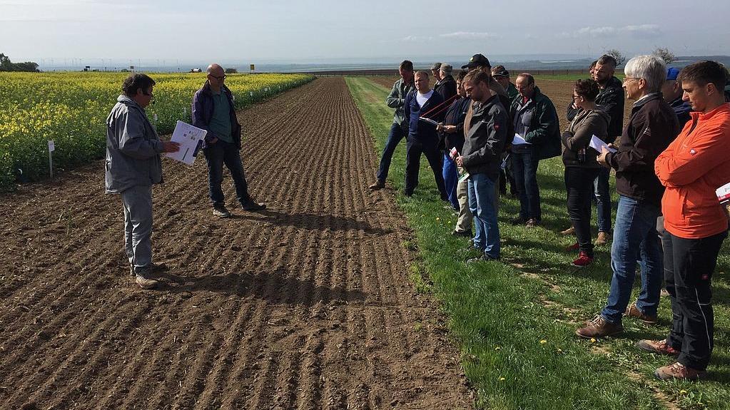 Menschen bei einem Vortrag auf einem Feld