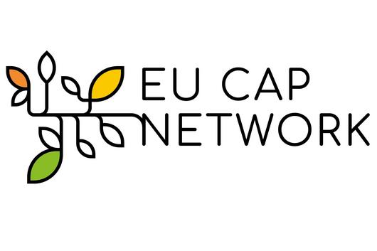 Logo mit stilisiertem Baum aus Linien und bunten Blättern neben dem Text 'EU CAP NETWORK'