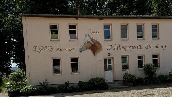 Gebäude des TLPVG in Dornburg