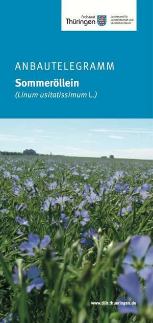Titelseite Anbautelegramm Sommeröllein