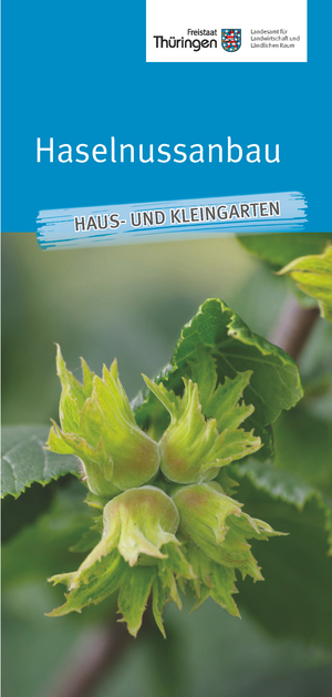 Deckblatt des Merkblatts Haselnussanbau
