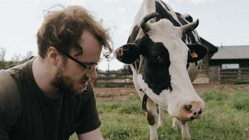 Rind und Landwirt auf Grünland
