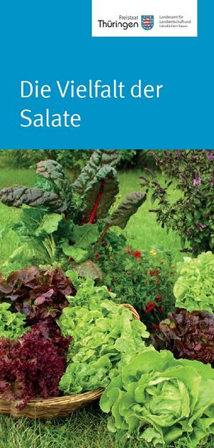 Flyer zur Vielfalt der Salate