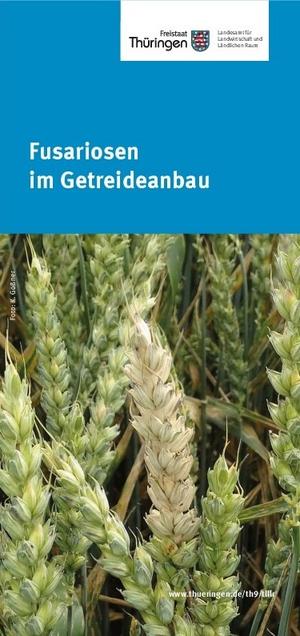 Deckblatt des Merkblatts