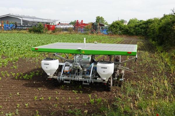 Feldroboter 'Farmdroid' im Einsatz in Zuckerrüben