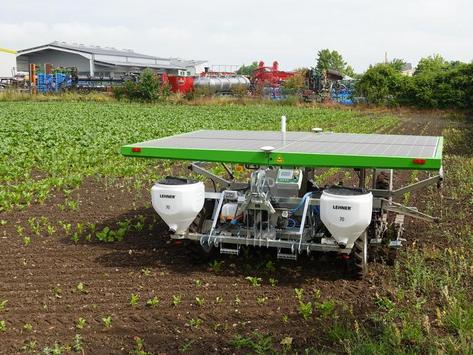 Feldroboter 'Farmdroid' im Einsatz in Zuckerrüben
