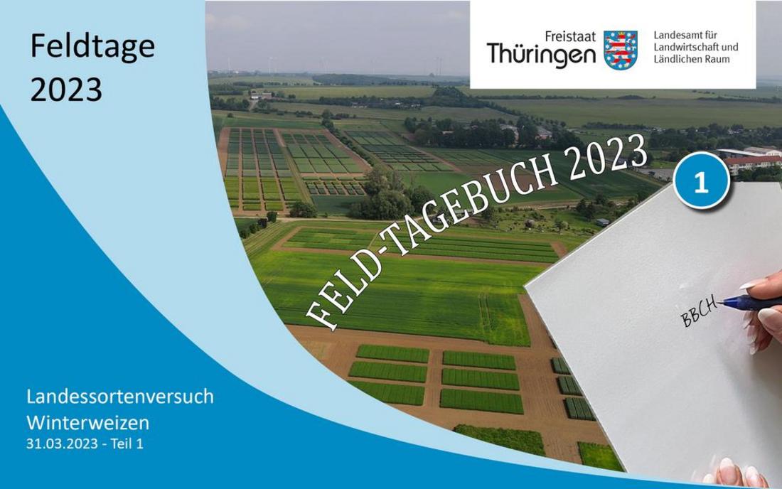 Feld-Tagebuch 2023