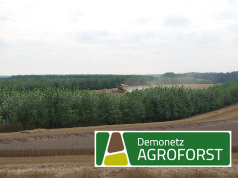 Logo des Demonetzwerkes Agroforst