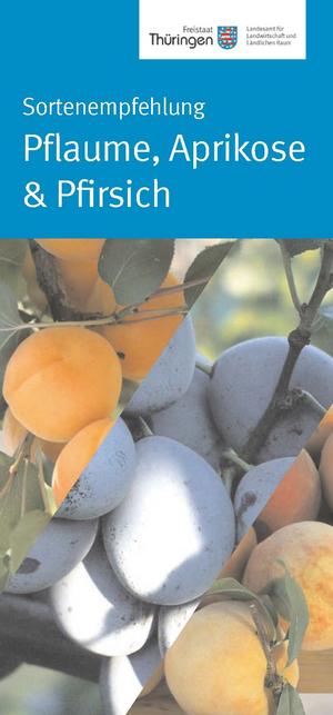 Flyer zu Aprikosen, Pfisichen und Pflaumen