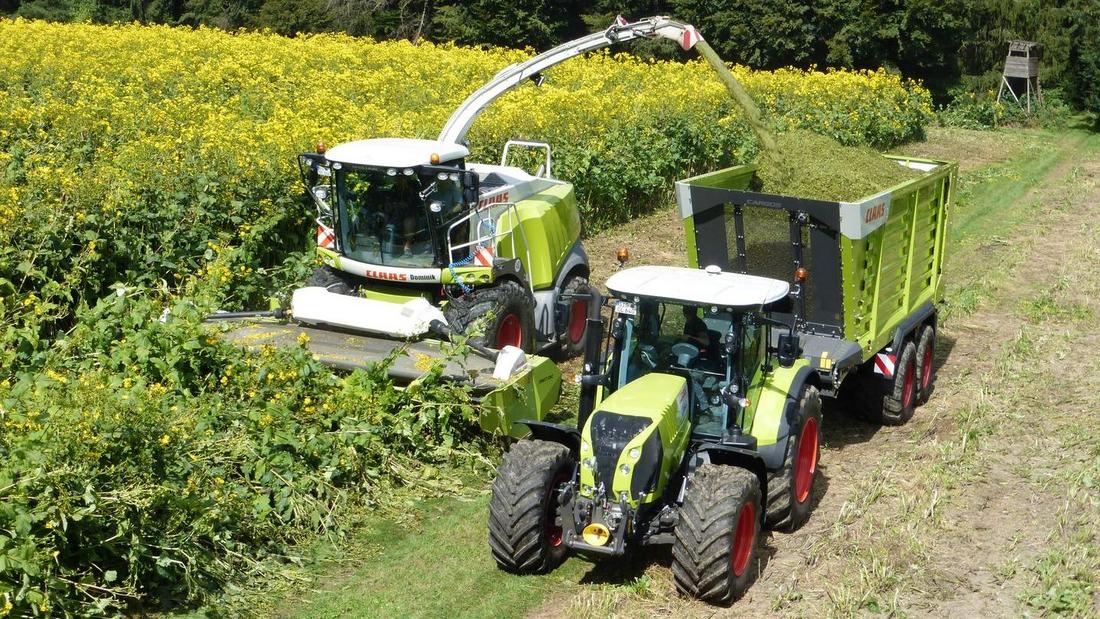 Erntetechnik bei der Mahd von Durchwachsender Silphie