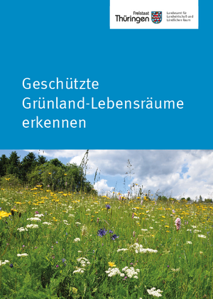 Geschützte Grünland-Lebensräume erkennen