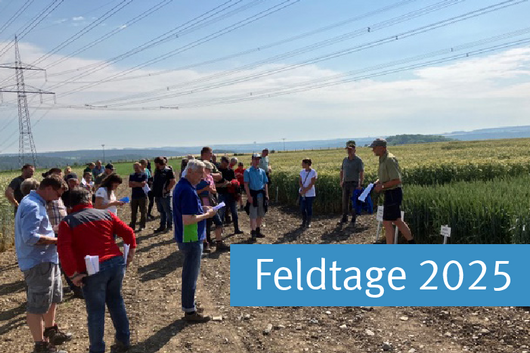 Landwirte vor einer Parzelle auf der Versuchsstation Dornburg