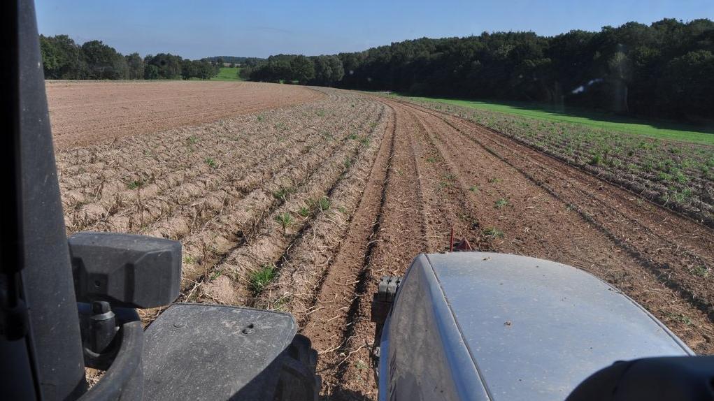 Blick aus einem Traktor auf ein Feld