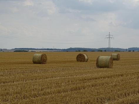 Strohballen auf einem abgeernteten Getreidefeld