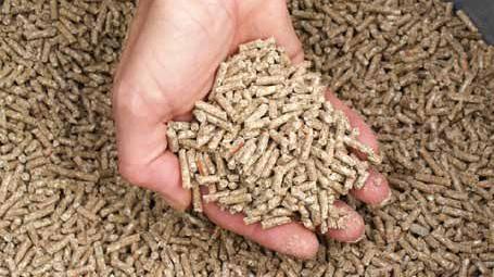 Mischfutterpellets