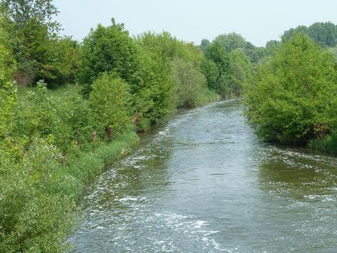 Unstrut mit Sträuchern und Bäumen am Ufer