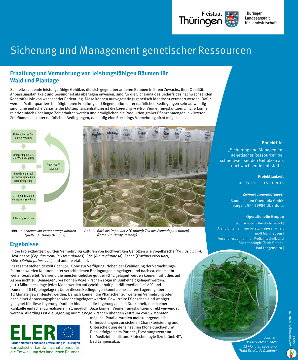 LFE-Projekt Poster genetische Ressourcen