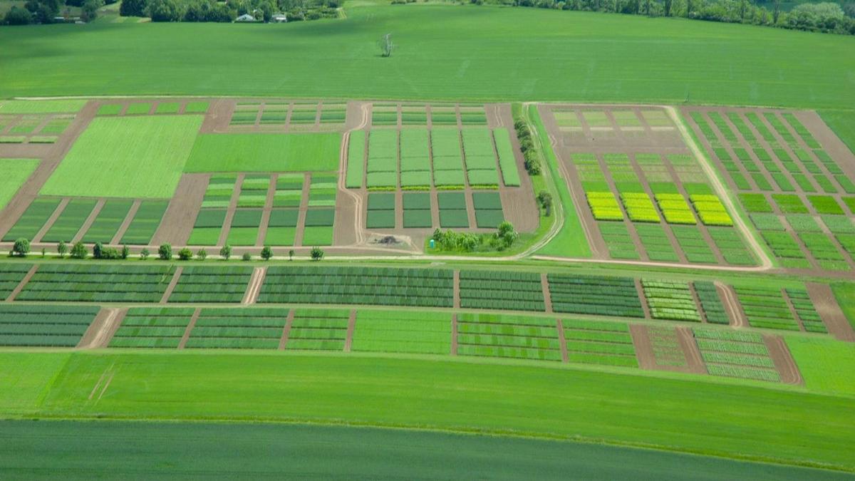 Feldversuchswesen des Freistaates Thüringen – Versuchsparzellen am Standort Dornburg
