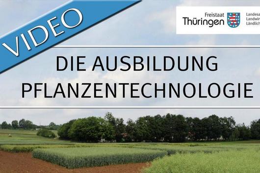 Die Ausbildung zum Pflanzentechnologen im TLLLR