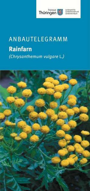 Titelseite Anbautelegramm Rainfarn