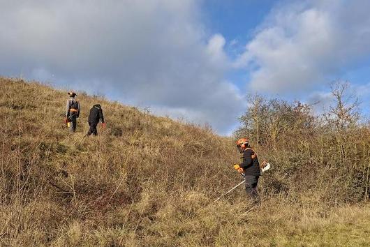 Fünf Personen mit Schutzhelmen und Arbeitskleidung mähen auf einem grasbewachsenen Hang unter blauem Himmel mit Wolken.
