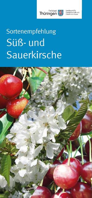 Deckblatt des Merkblatts
