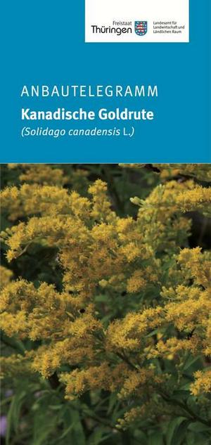 Titelseite Anbautelegramm Kanadische Goldrute