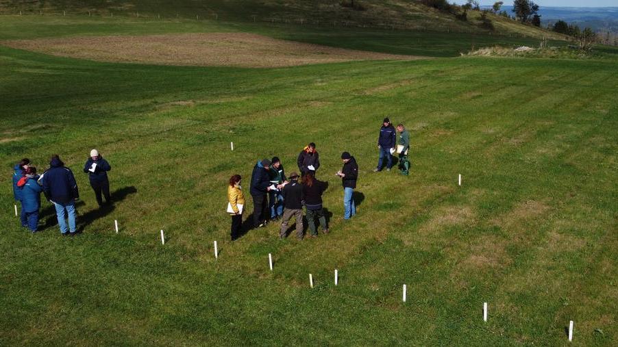 Zehn Personen stehen auf einer großen Wiese, umgeben von weißen Markierungsstäben, einige bücken sich, andere stehen und beobachten.
