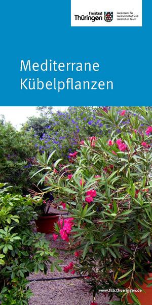 Deckblatt des Merkblatts