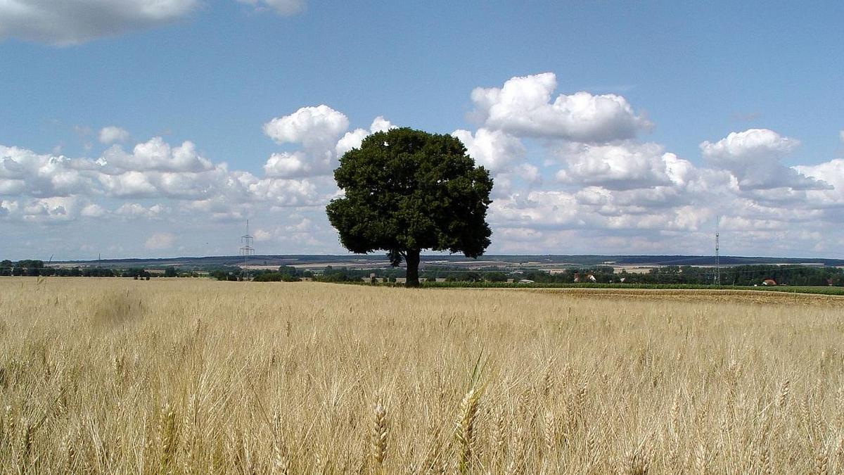 Landschaft, Foto: Maik Schwabe