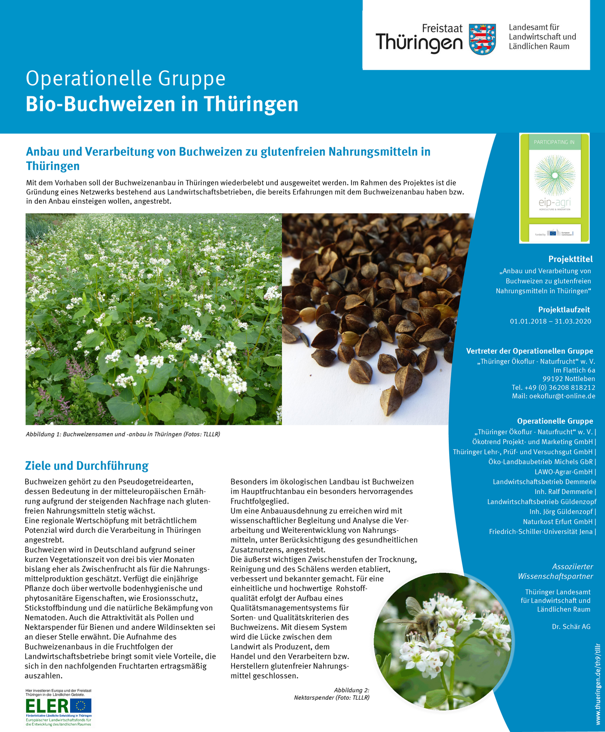Poster LFE-Projekt