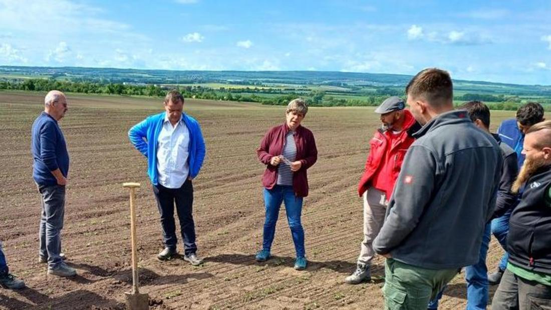 Landwirte besichtigen Soja auf Versuchsfeld