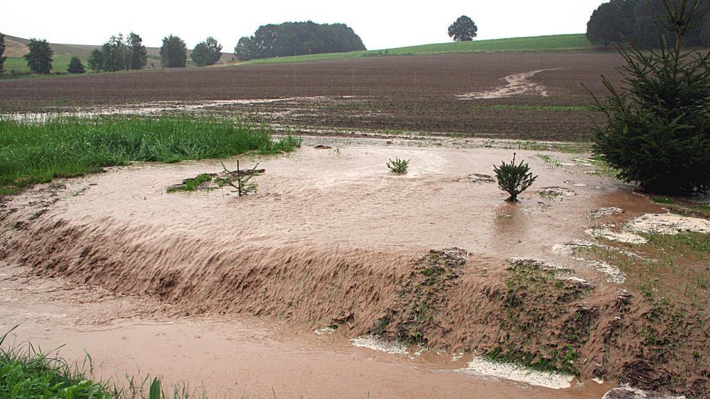 Wasser spült Erde einen Hang hinab in einen Graben