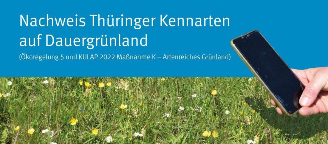 Deckblatt der Broschüre "Thüringer Kennarten auf Dauergrünland"