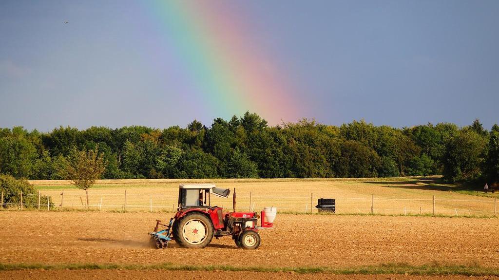 Traktor auf dem Feld und Regenbogen am Himmel