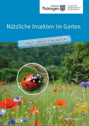 Merkblatt Nützliche Insekten im Garten