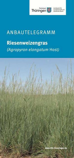 Titelseite Anbautelegramm Riesenweizengras