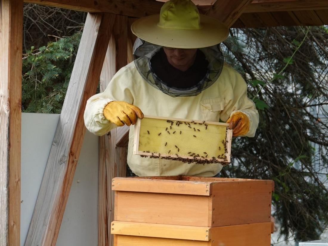 Imker mit Beute an einem Bienenstand.