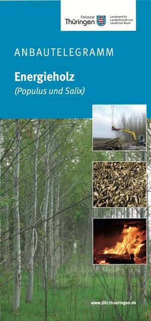 Titelseite Anbautelegramm Energieholz