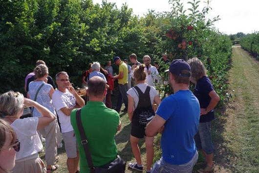 Besucher des Haselnusstages 2025 vor einer Versuchsanlage