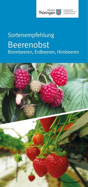 Deckblatt des Flyers Beerenobst